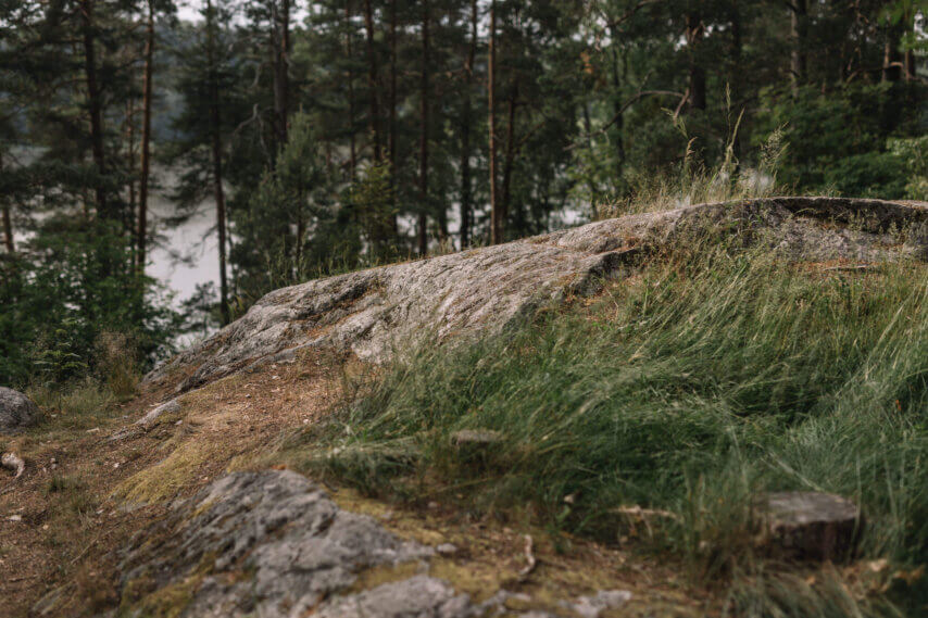 Yrityskaupan anatomia: Miksi yrittäjä myy ja sijoittaja ostaa?