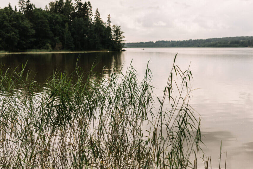 Bitcoin - Digitaalinen niukkuus ja tulevaisuuden säästämisteknologia